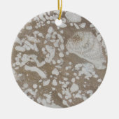 Devonian Fossil Brown & White Ornament (Vorne)
