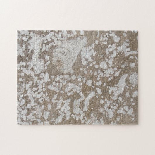 Devonian Fossil Brown & White Puzzle (Horizontal)