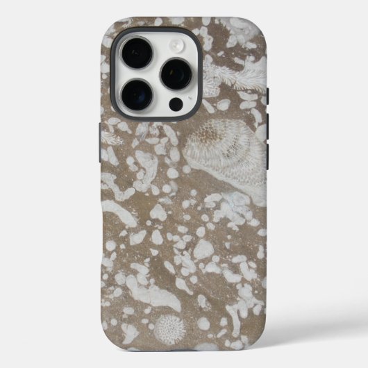 Devonian Fossil Gorge Case-Mate iPhone Hülle (Rückseite)