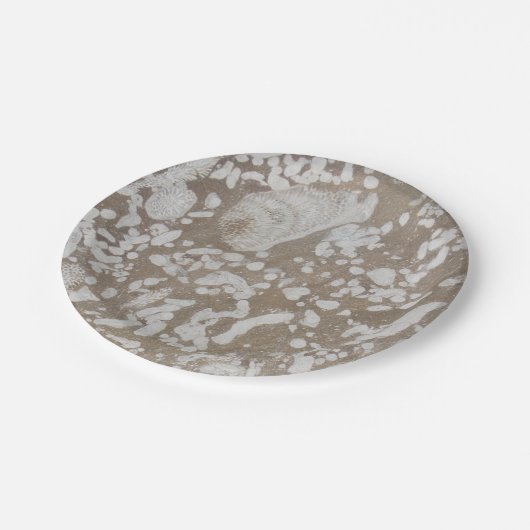 Devonian Fossil Paper Tellers Pappteller (Schrägansicht)