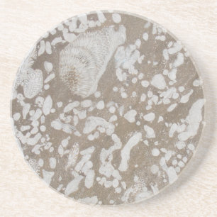 Devonian Fossil Sandstone Drink Untersetzer
