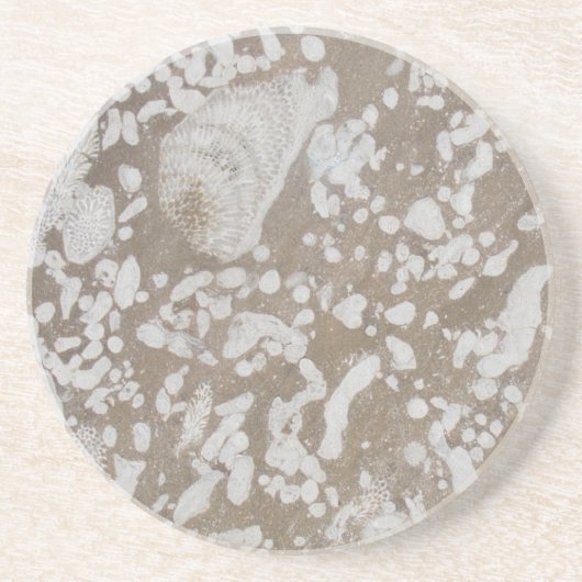 Devonian Fossil Sandstone Drink Untersetzer (Vorne)