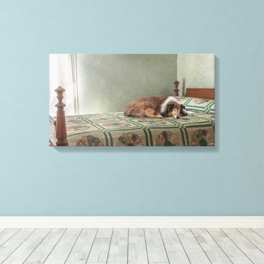 Devote Companion Sheltie Leinwanddruck (Insitu (Holzboden))