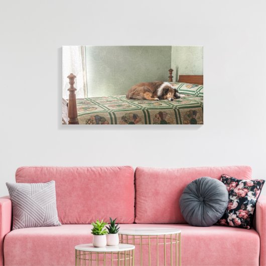 Devote Companion Sheltie Leinwanddruck (Insitu (Wohnzimmer))
