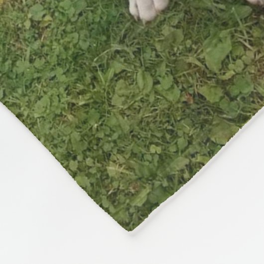 DEVOTIERTE BOXER-DOG-Fleece Fleecedecke (Ecke)