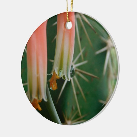 Dew auf Aloe Bloom Keramik Ornament (Links)