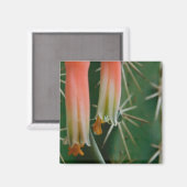 Dew auf Aloe Bloom Magnet (Vorderseite/Rückseite)