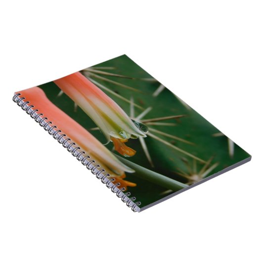 Dew auf Aloe Bloom Notizblock (Rechte Seite)