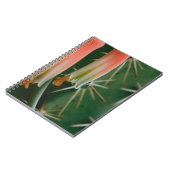 Dew auf Aloe Bloom Notizblock (Linke Seite)