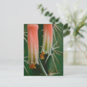 Dew auf Aloe Bloom Postkarte (Stehend Vorderseite)