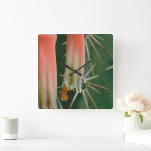 Dew auf Aloe Bloom Quadratische Wanduhr (Zuhause)