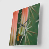 Dew auf Aloe Bloom Quadratische Wanduhr (Winkel)