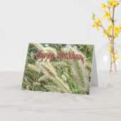 Dew auf dem Foxtail Karte (Gelbe Blume)