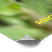 Dew auf einem Gelben Schwanz Poster (Ecke)