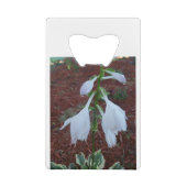 Dew auf einem Sun Hosta Bloom Geldbeutel Flaschenöffner (Rückseite)