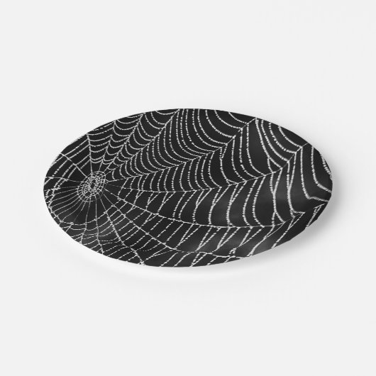 Dew Covered Spiderweb Pappteller (Schrägansicht)