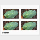 Dew Dappled Leaf Rechteckiger Aufkleber (Blatt)