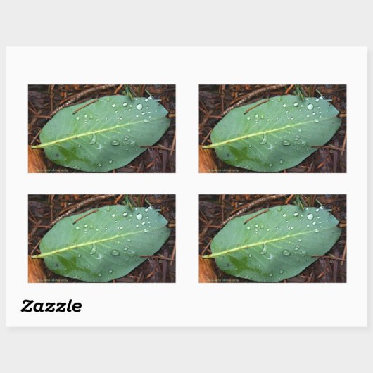 Dew Dappled Leaf Rechteckiger Aufkleber (Blatt)