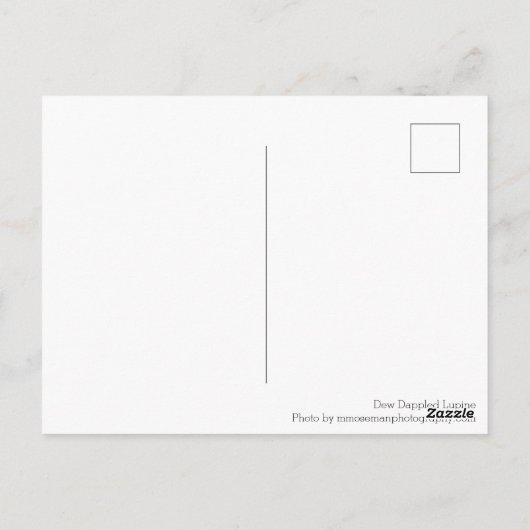 Dew Dappled Lupine Postkarte (Rückseite)