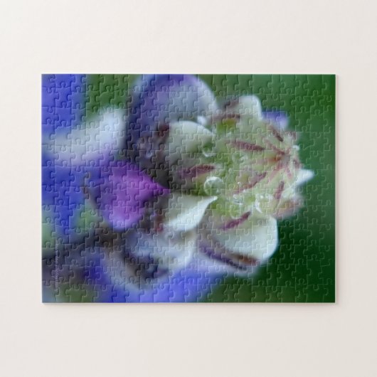 Dew Dappled Lupine Puzzle (Horizontal)