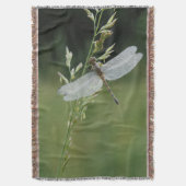 Dew deckte Darner Dragonfly Decke (Vorderseite Vertikal)