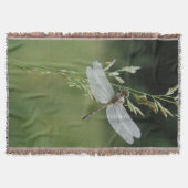 Dew deckte Darner Dragonfly Decke (Vorderseite)
