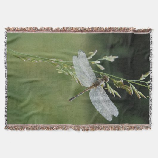 Dew deckte Darner Dragonfly Decke (Vorderseite)