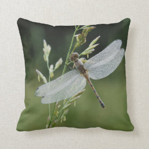 Dew deckte Darner Dragonfly Kissen