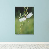 Dew deckte Darner Dragonfly Leinwanddruck (Insitu (Holzboden))