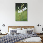 Dew deckte Darner Dragonfly Leinwanddruck (Insitu (Schlafzimmer))