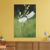 Dew deckte Darner Dragonfly Leinwanddruck (Insitu (Wohnzimmer))