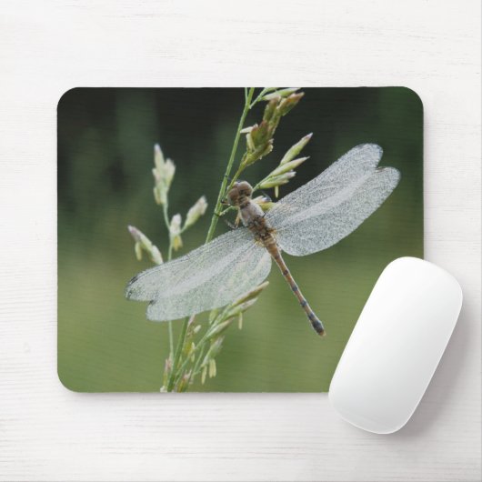 Dew deckte Darner Dragonfly Mousepad (Mit Mouse)