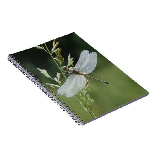 Dew deckte Darner Dragonfly Notizblock (Rechte Seite)