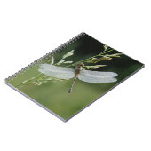 Dew deckte Darner Dragonfly Notizblock (Linke Seite)