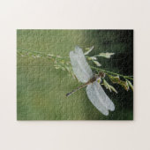 Dew deckte Darner Dragonfly Puzzle (Horizontal)