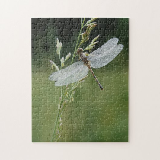 Dew deckte Darner Dragonfly Puzzle (Vertikal)
