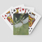 Dew deckte Darner Dragonfly Spielkarten (Rückseite)