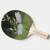 Dew deckte Darner Dragonfly Tischtennis Schläger (Seitenansicht)