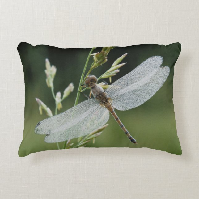 Dew deckte Darner Dragonfly Zierkissen (Vorderseite)
