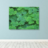 Dew Drenced Clovers Macro Foto Wine cine Art Leinwanddruck (Insitu (Holzboden))