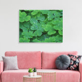 Dew Drenced Clovers Macro Foto Wine cine Art Leinwanddruck (Insitu (Wohnzimmer))
