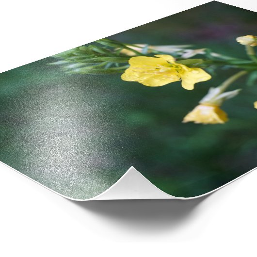 Dew Drop Intimität Fotodruck (Ecke)