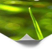 Dew Drop Poster (Ecke)