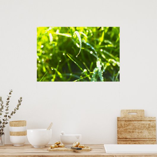 Dew Drop Poster (Küche)