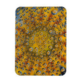 Dew Drop Reflexion der Blume, Crescent City, Magnet (Vertikal)