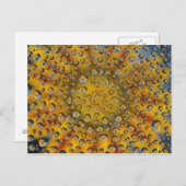 Dew Drop Reflexion der Blume, Crescent City, Postkarte (Vorne/Hinten)