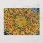 Dew Drop Reflexion der Blume, Crescent City, Postkarte (Vorderseite)