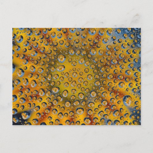 Dew Drop Reflexion der Blume, Crescent City, Postkarte (Vorderseite)