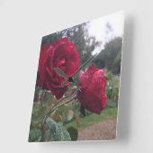 Dew Drop Rose Quadratische Wanduhr (Winkel)