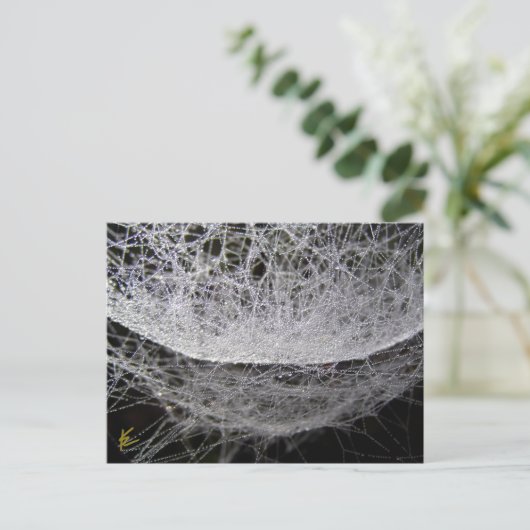 Dew Drop Water Hammock Spider Web Postkarte (Stehend Vorderseite)